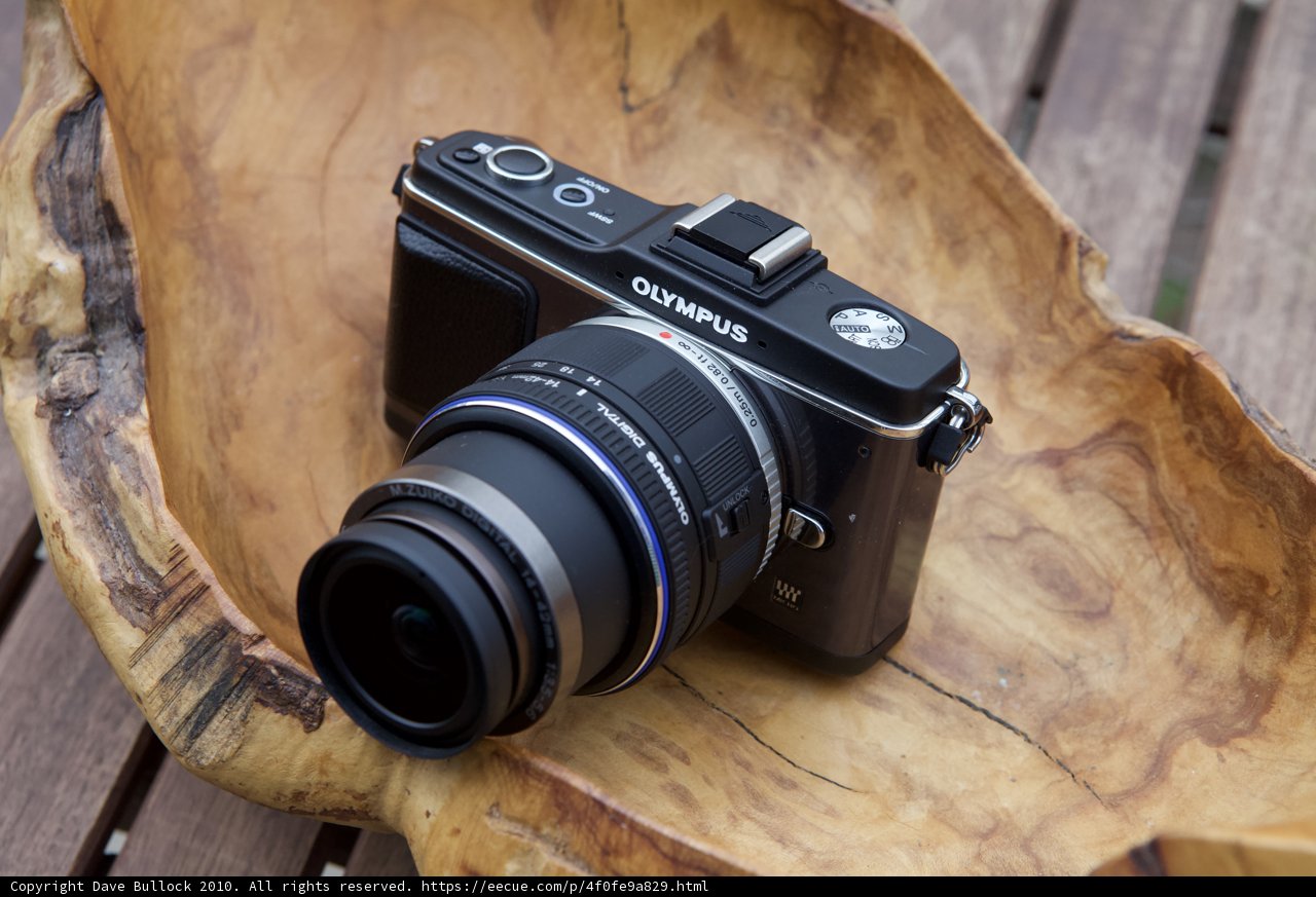 Camera on Wooden Bowl