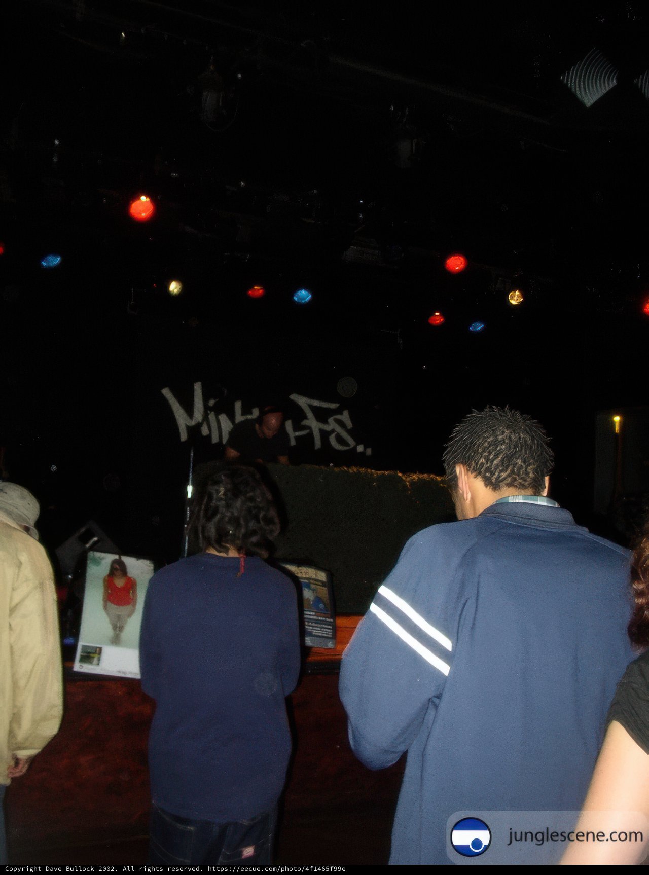 Nightclub Crowd