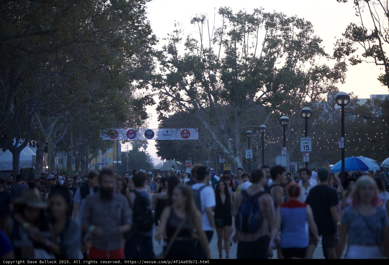 Tree-Canopied Festival Path
