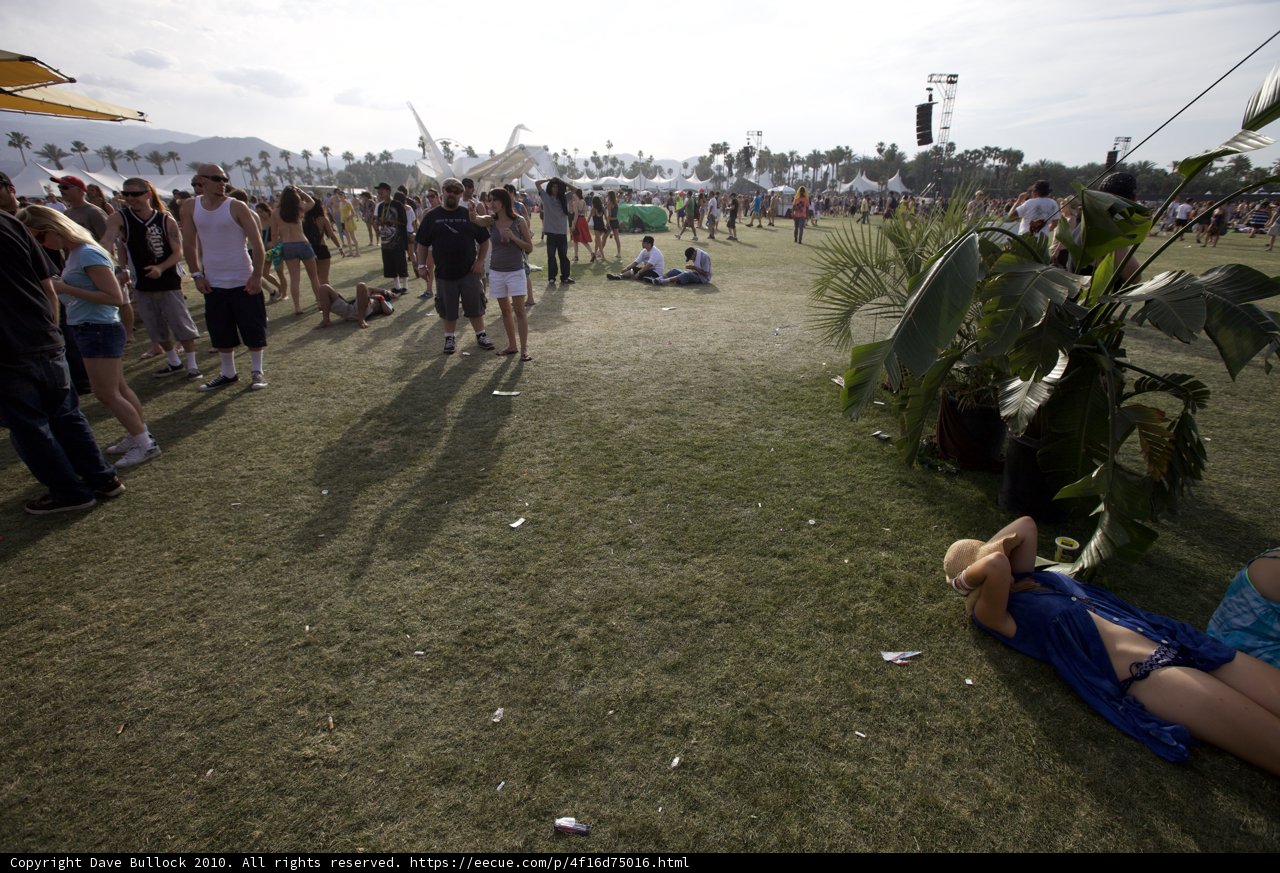 Music Festival Relaxation