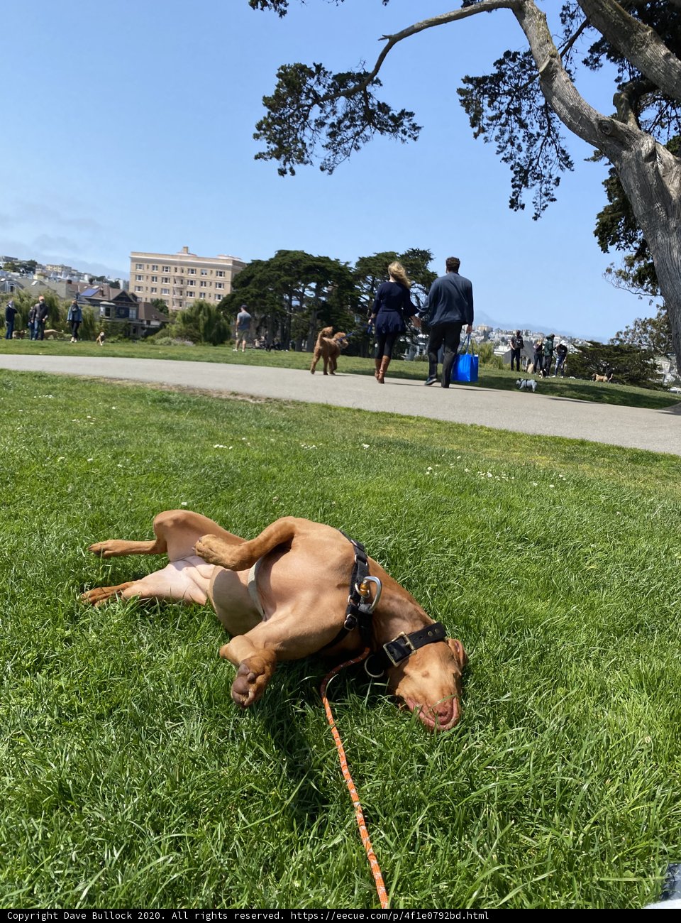 Relaxing in the Park