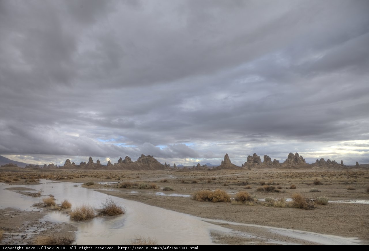 Majestic Beauty of the Desert