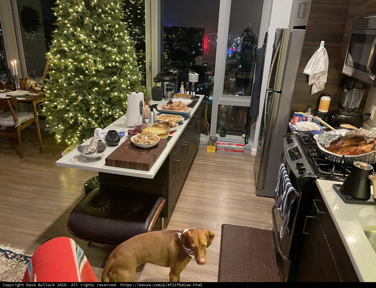 Festive Furry Friend