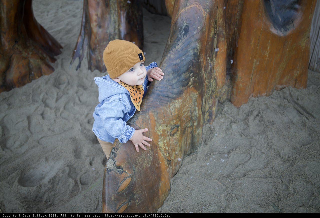 Wesley's Sand Dune Adventure