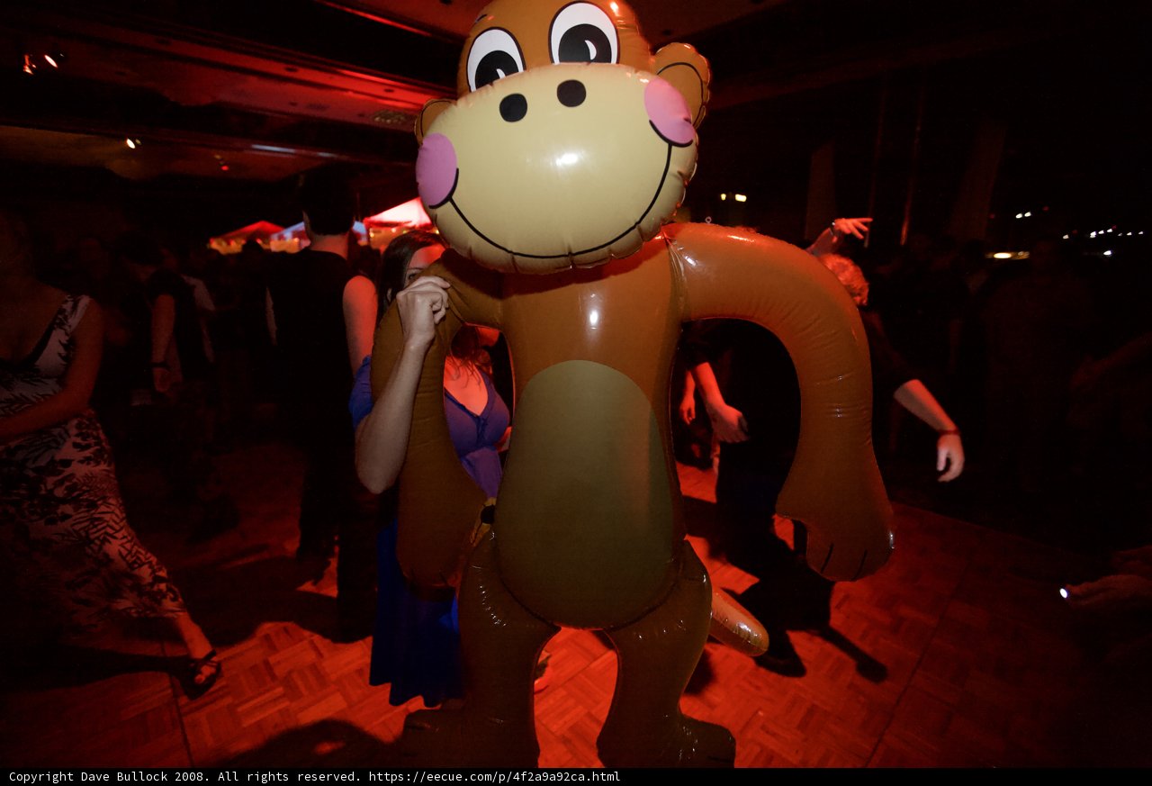 Monkeying Around at the Night Club