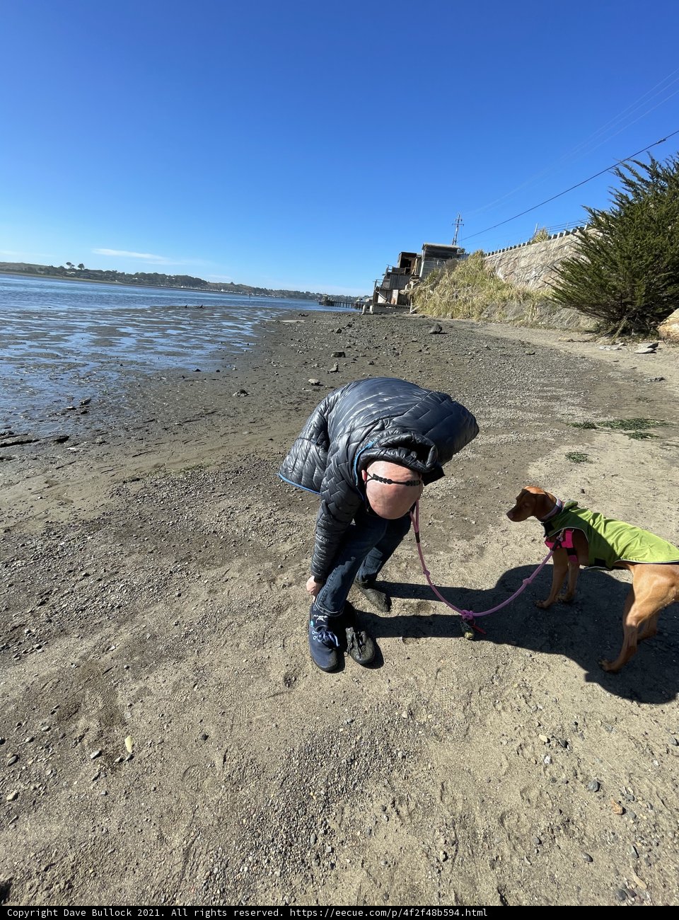 Man and His Furry Beach Companion
