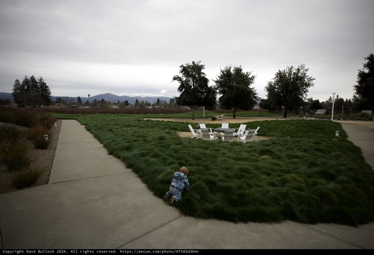 Child Exploring Grassy Hillside at Community Park