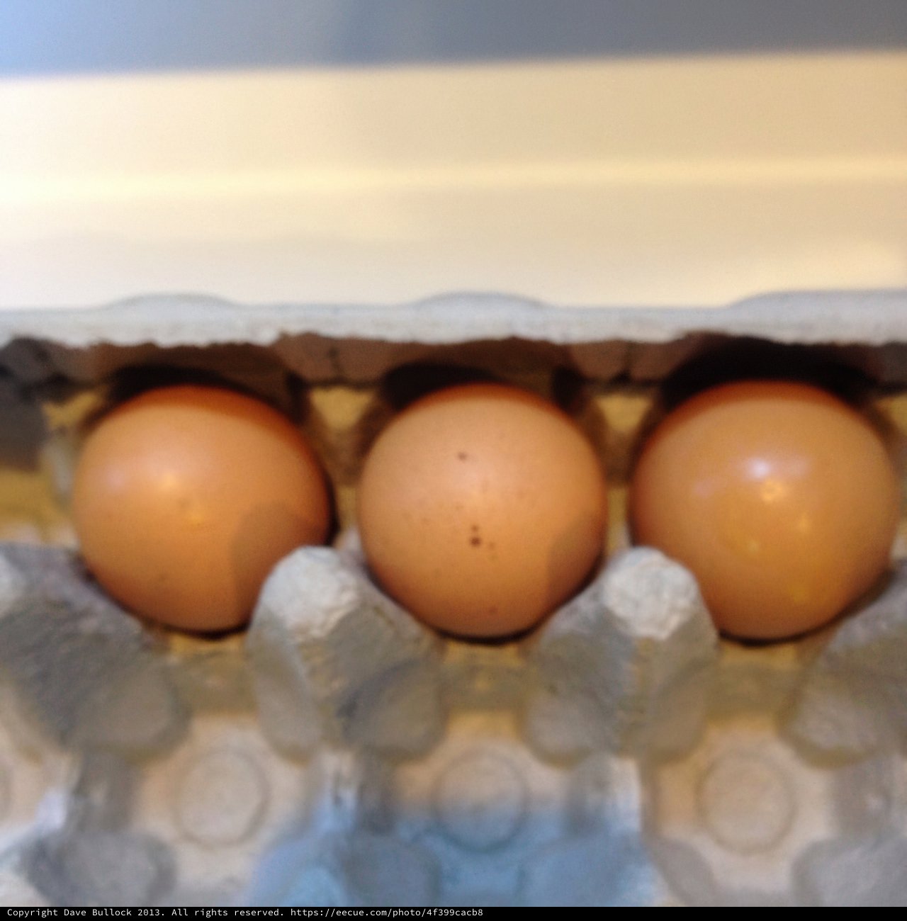 Trio of Eggs in a Brown Carton