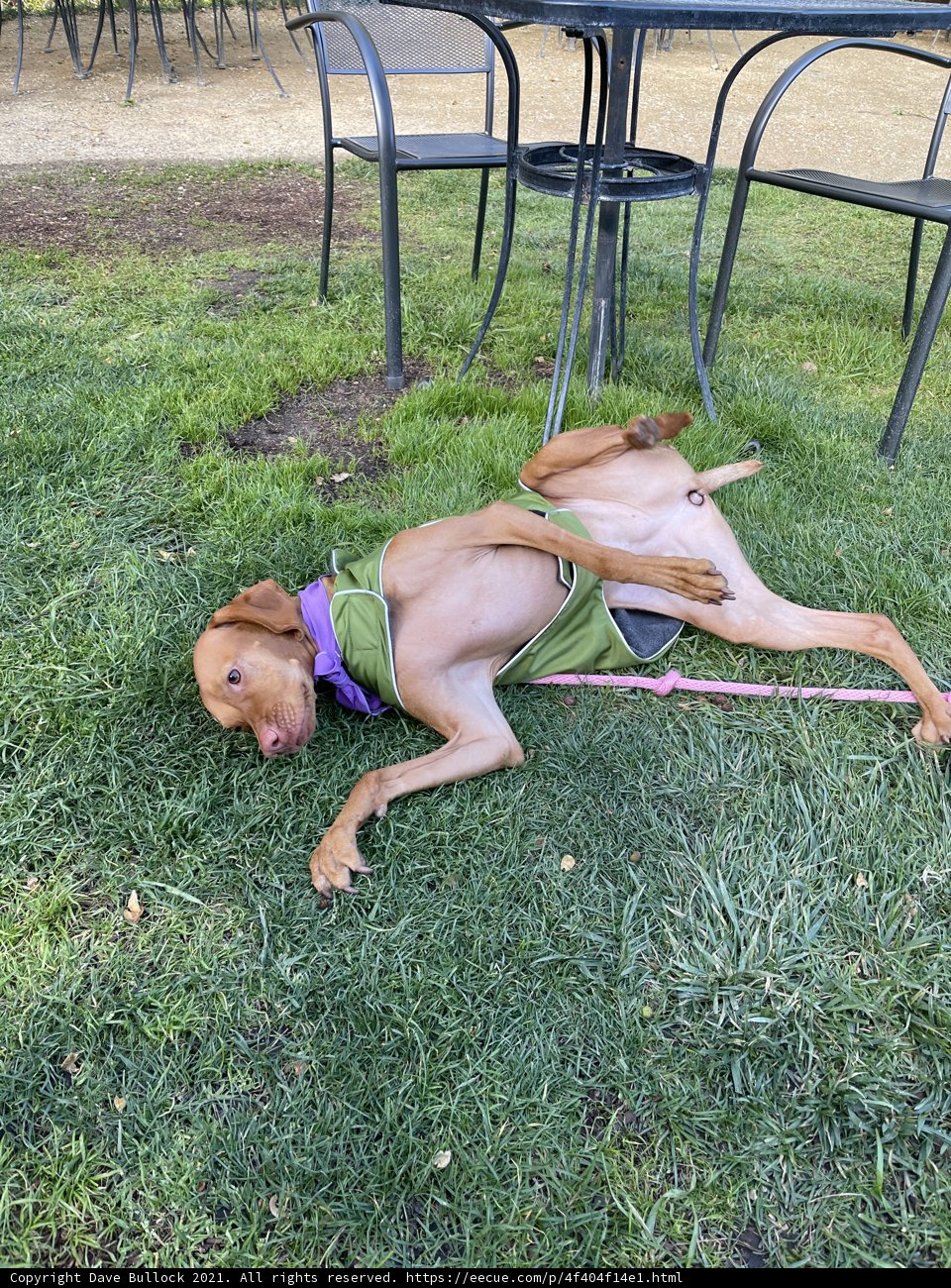 Basking in the California Sun