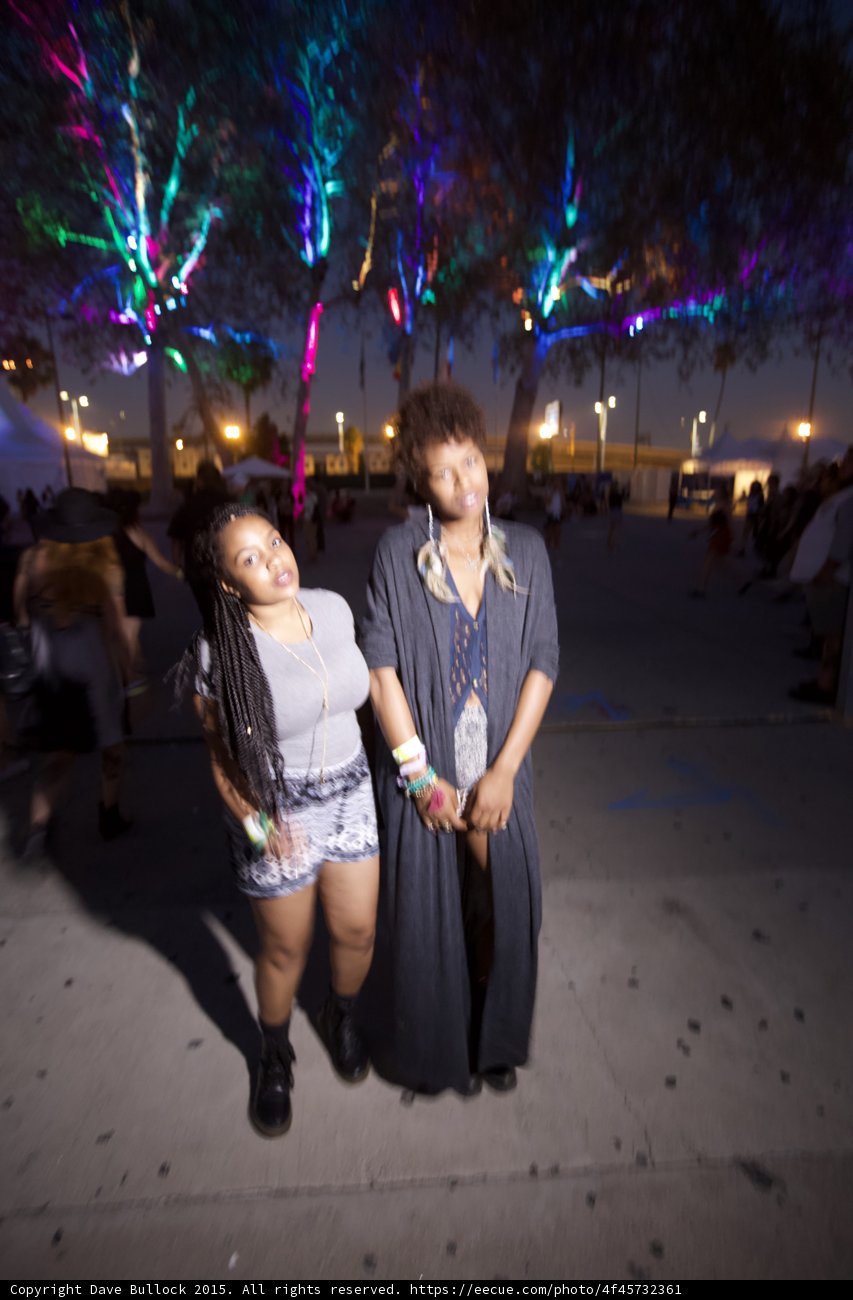 Stylish Friends Rainbow Trees