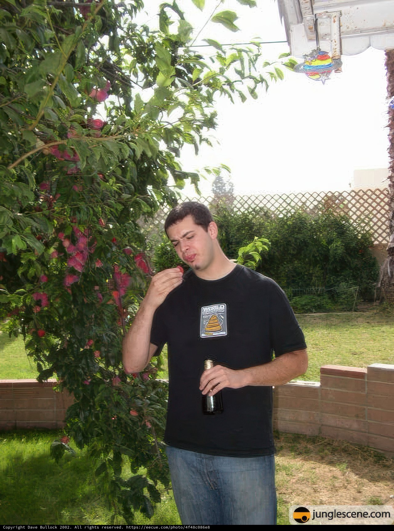 A Refreshing Snack in the Backyard