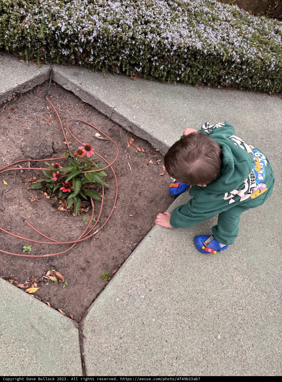 Innocence Blooming: A Child's Encounter with Nature