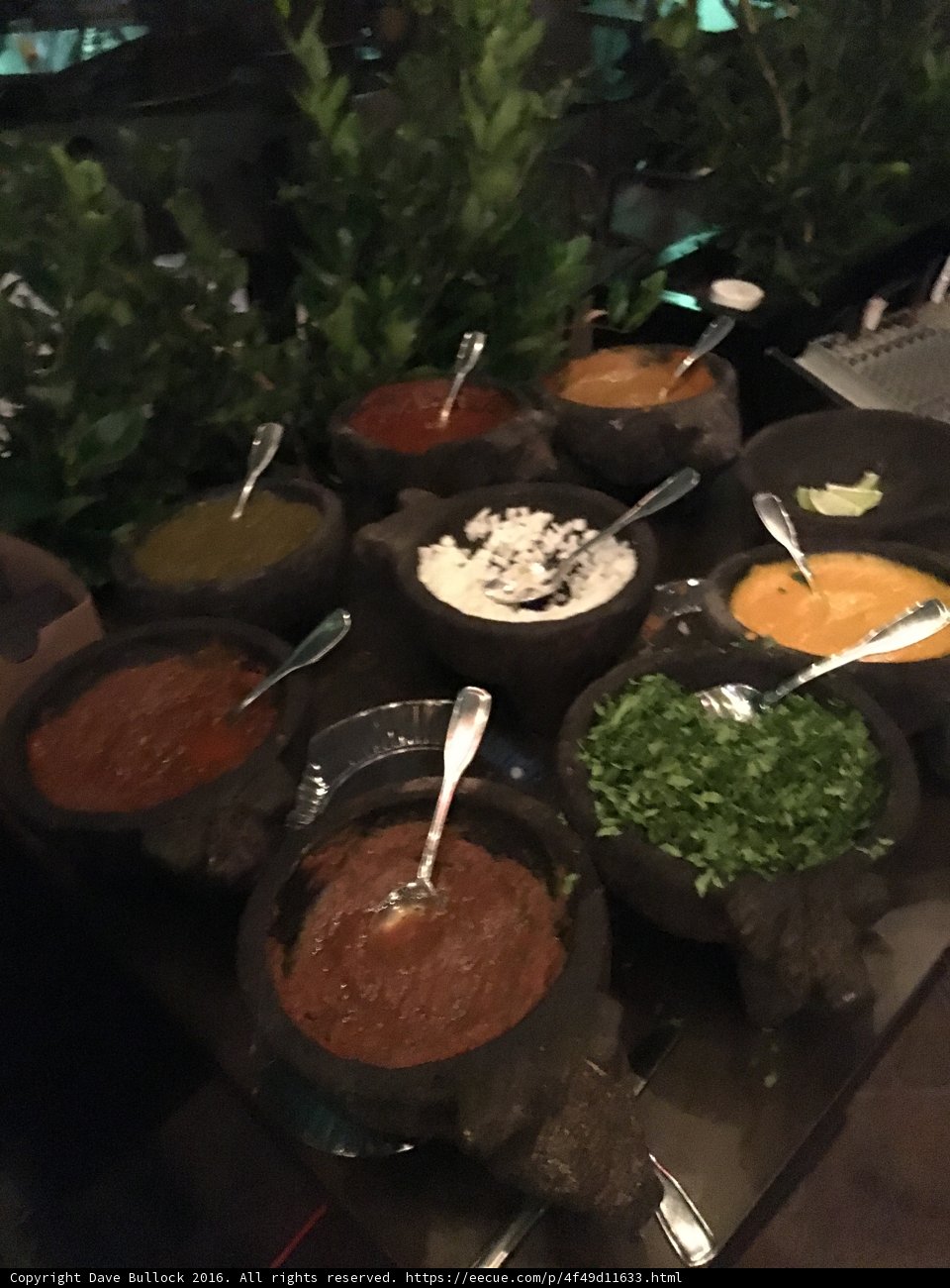 A Plant-Based Meal Feast