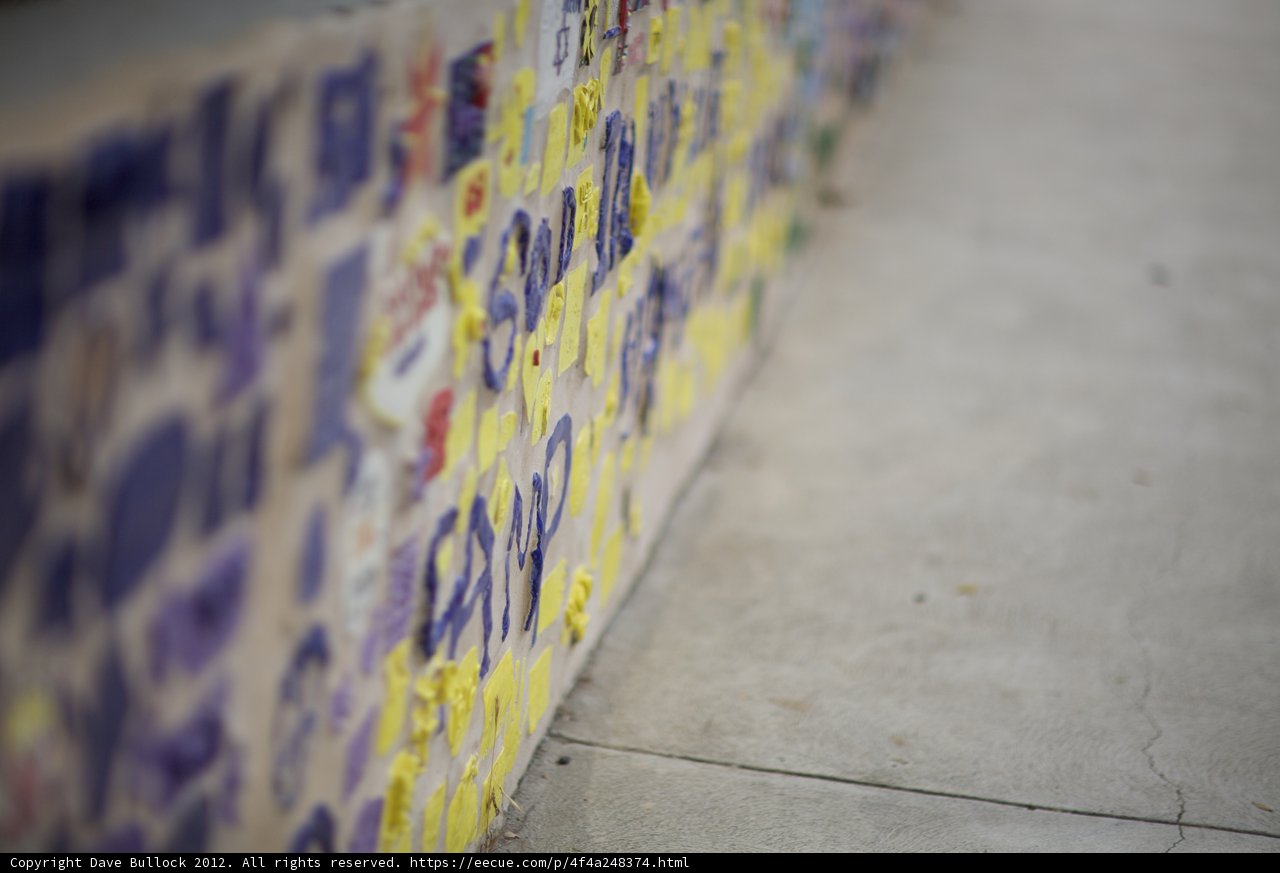 Adorned Wall