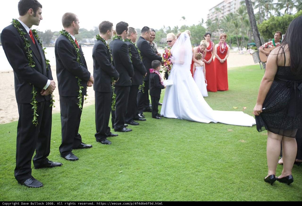 Wedding Party in the Hawaiian Grass