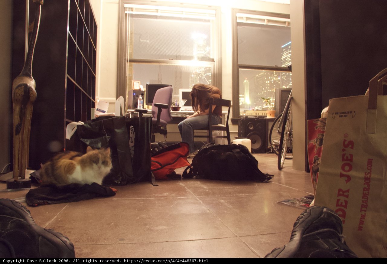 Floor companions