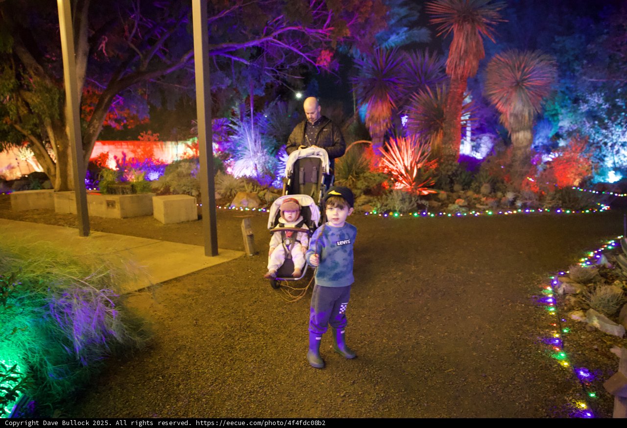Enchanted Evening Stroll