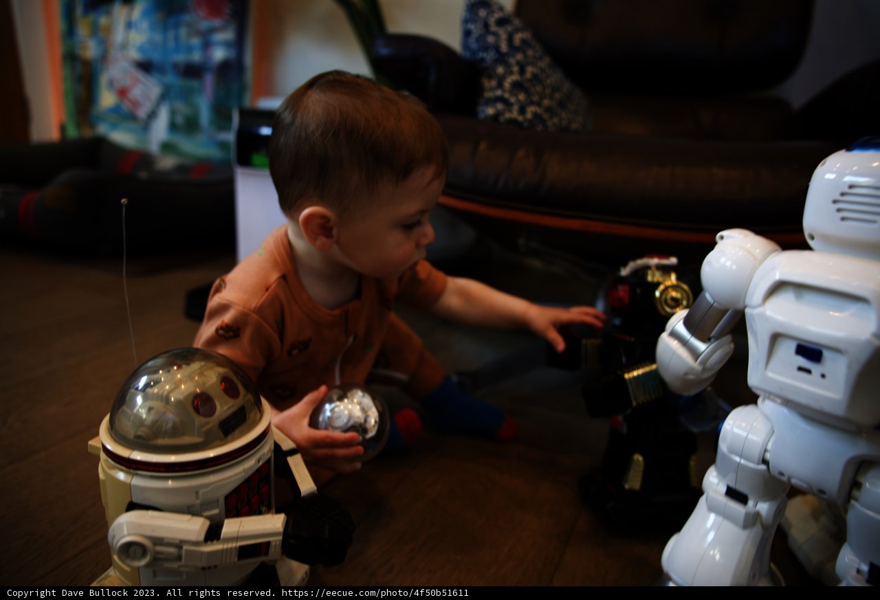 A Future Robotics Enthusiast
