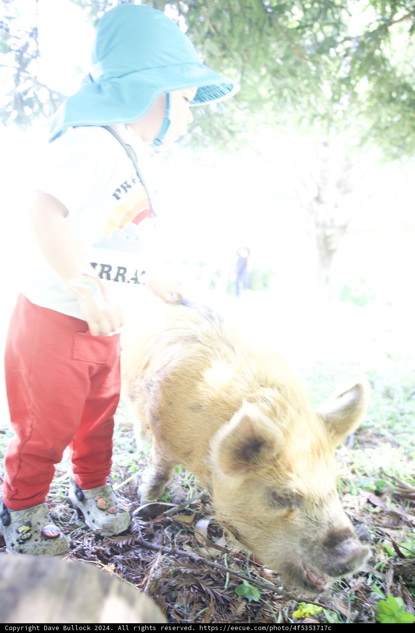 Young Explorer Meets Gentle Giant