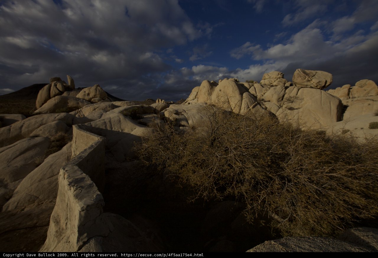Majestic Rocks in Joshua Tree National Park