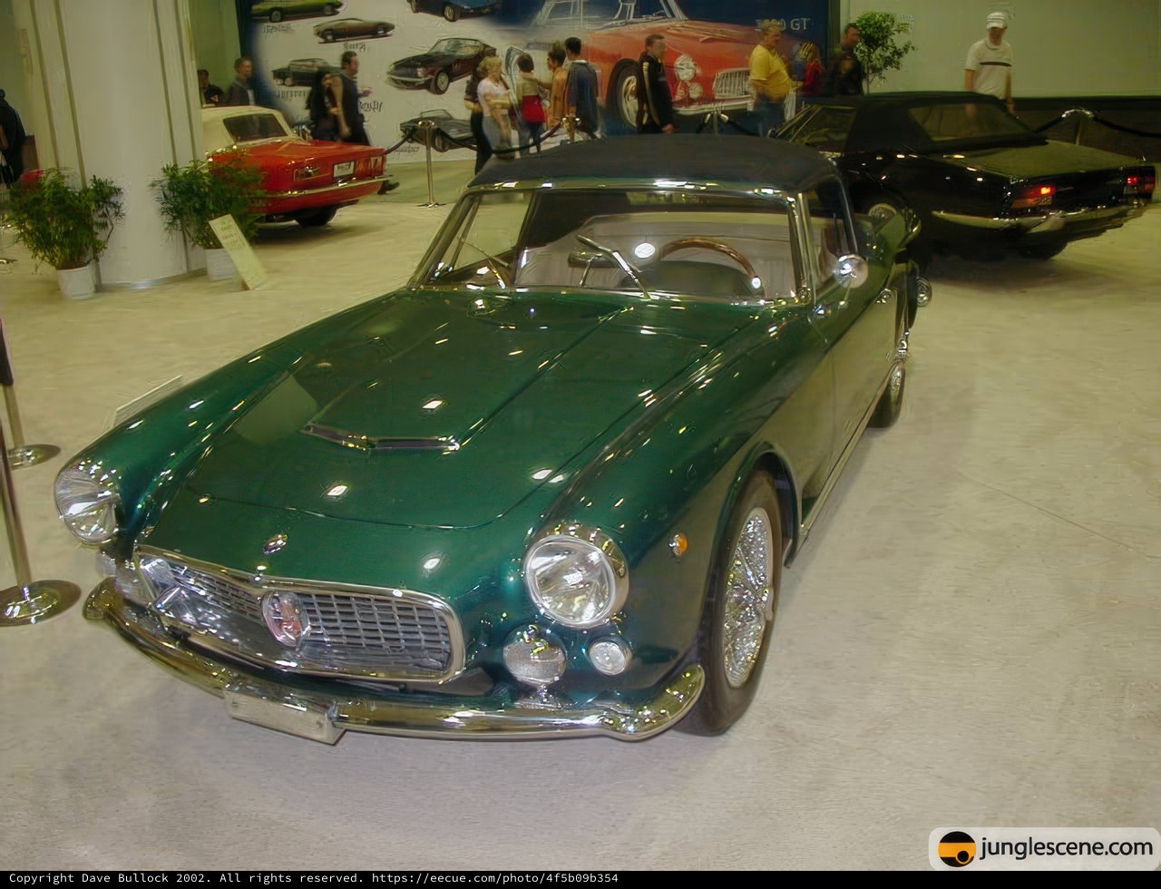 Sleek Green Sports Car Steals the Show