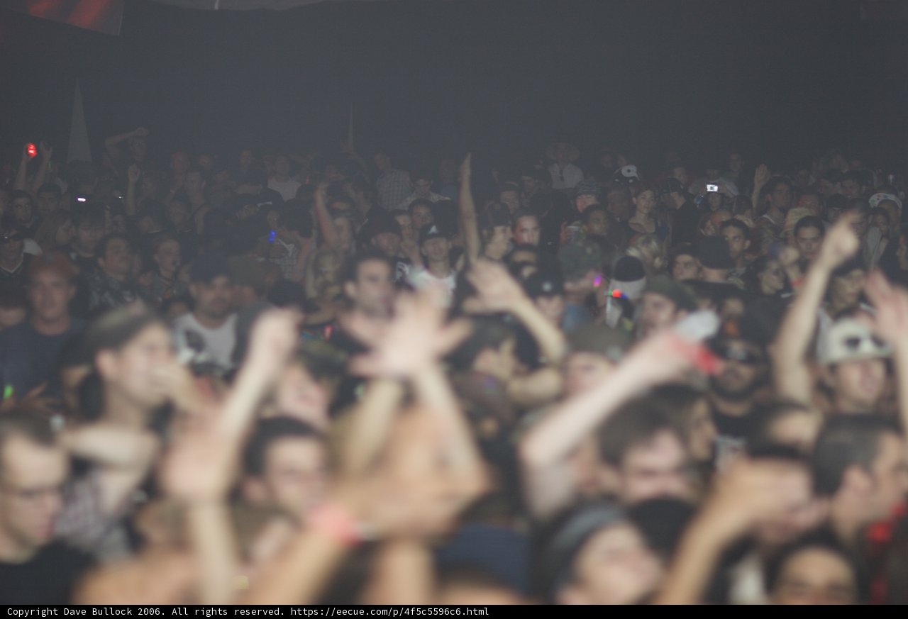 Raving with the Urban Crowd