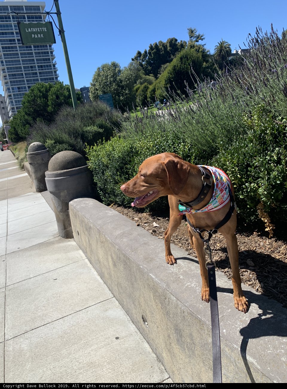 A Walk in the Sun