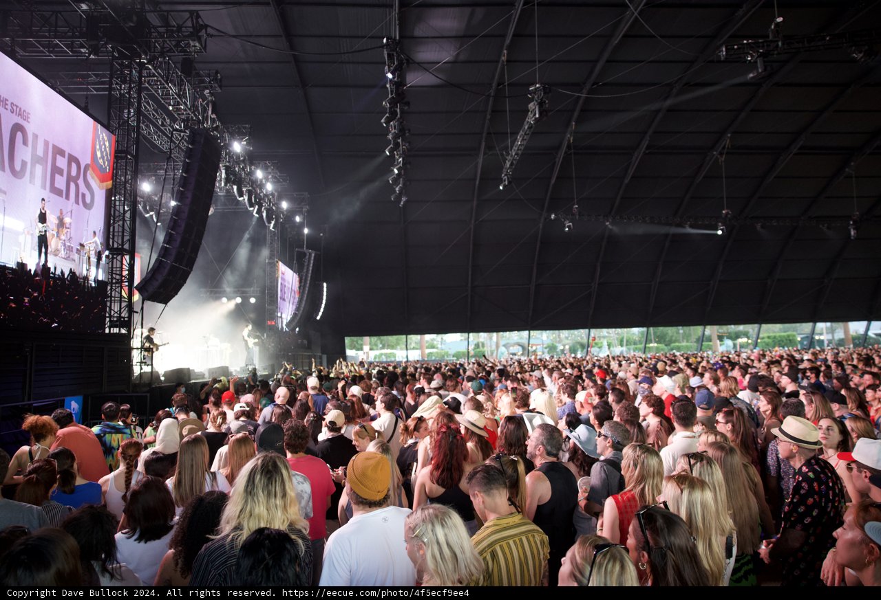 Energetic Nights at Coachella 2024: Grace Stewart Amid the Crowd