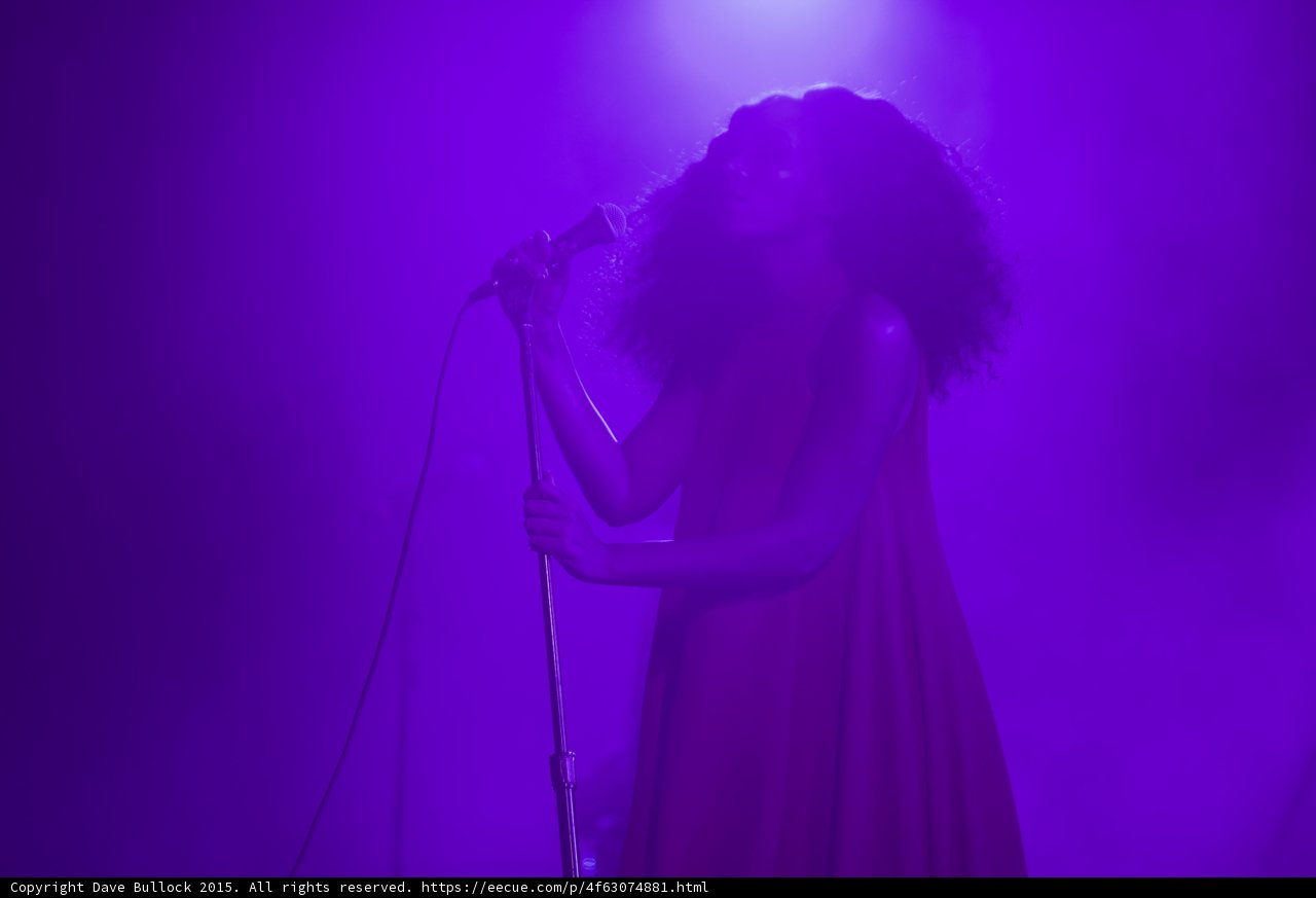 Florence Welch Profile Singing Flowing Dress Purple