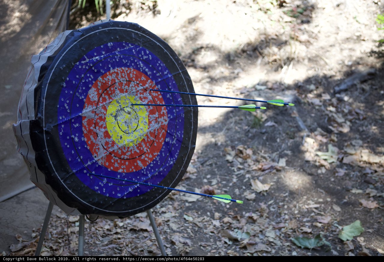 Target Practice in the Woods