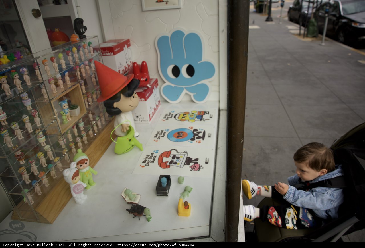 Wesley's Fascination with Toy Store Wonders