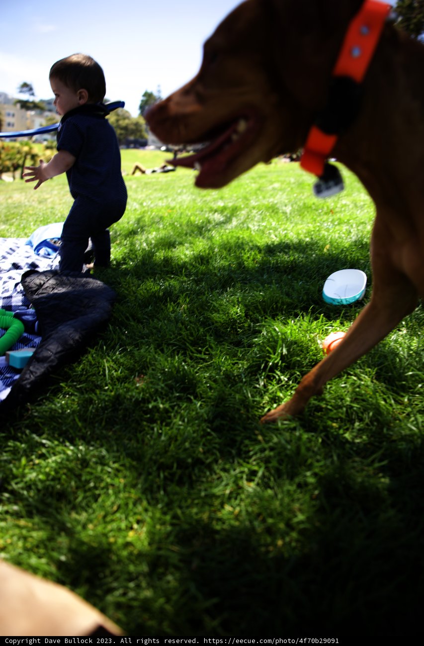 Summer Delight at Delores Park