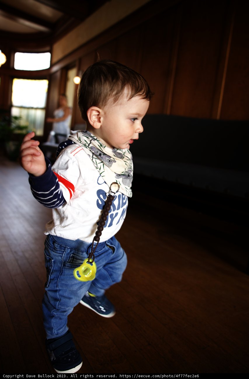 Adorable Little Explorer