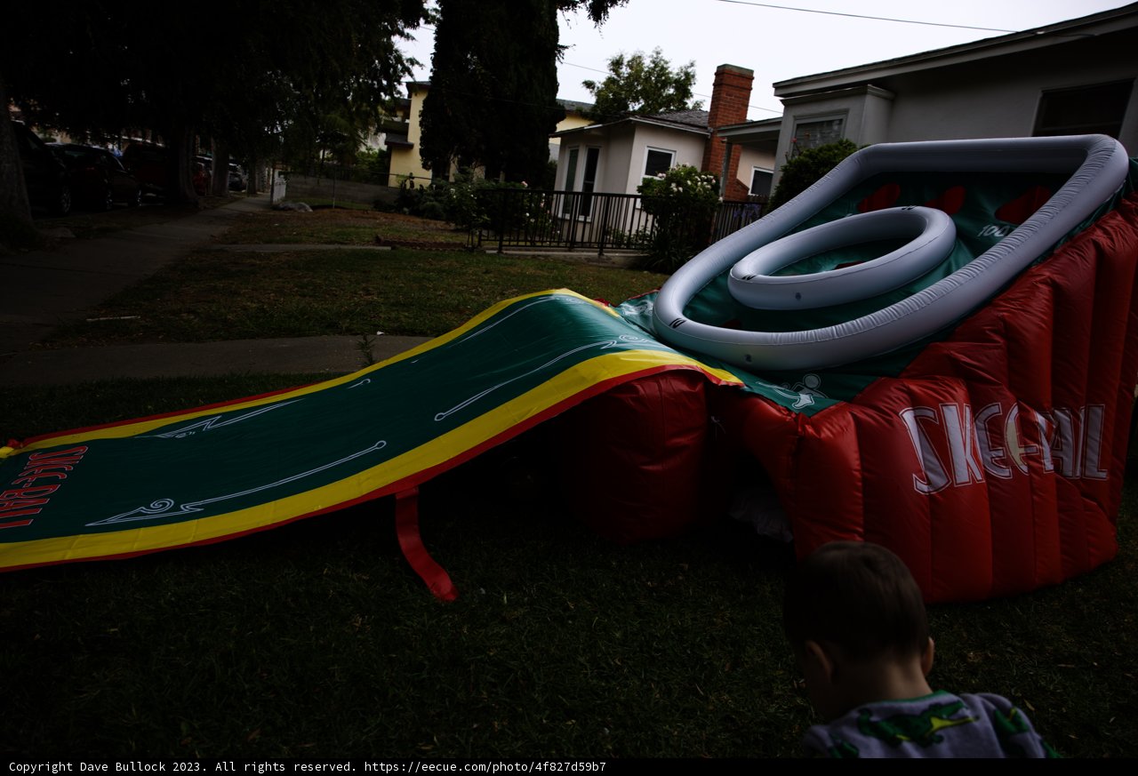 Fun at the Grad Party