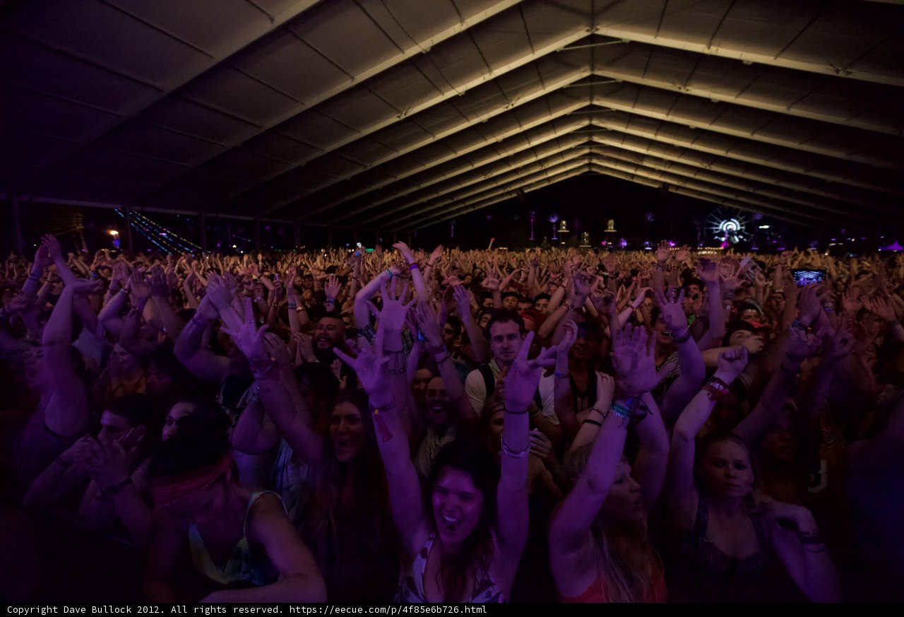 Coachella Crowd Goes Wild
