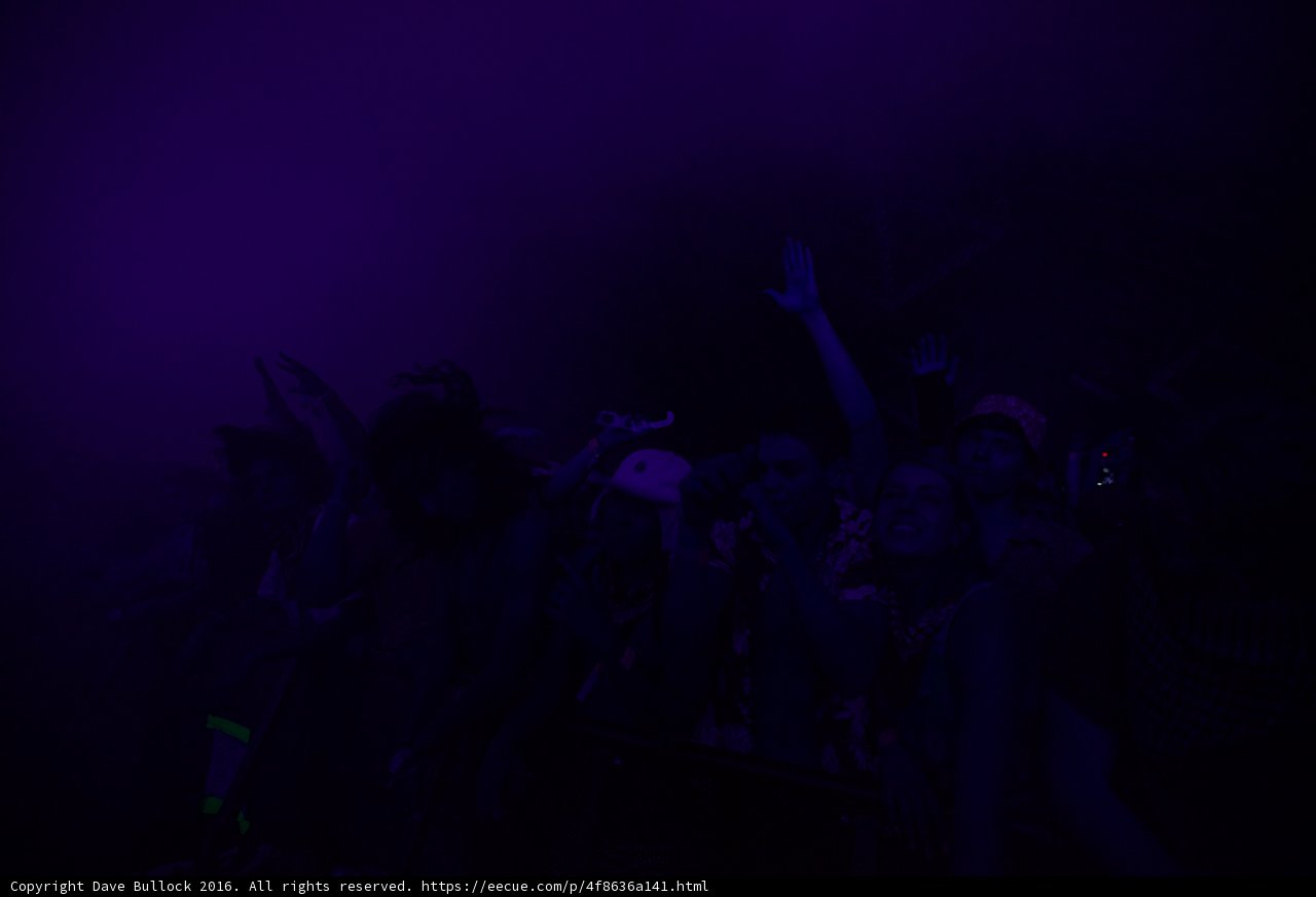 Clubgoers Raise the Roof