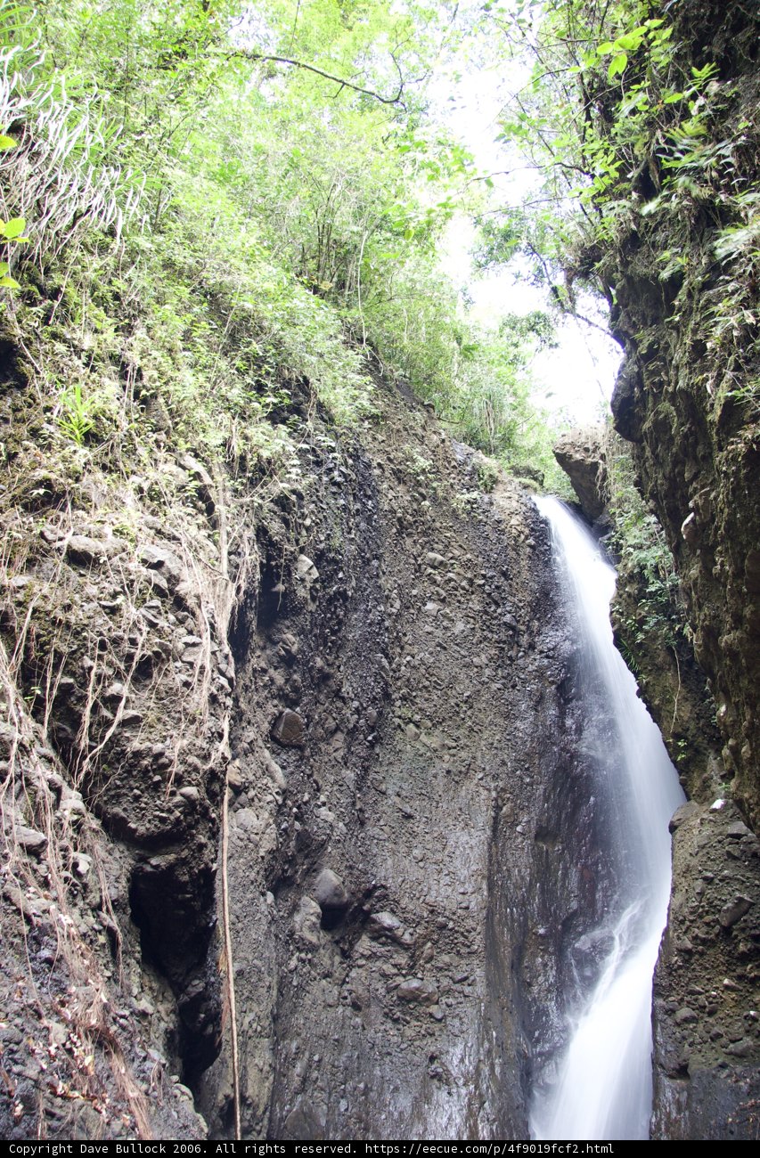 Majestic Waterfall in the Heart of the Forest