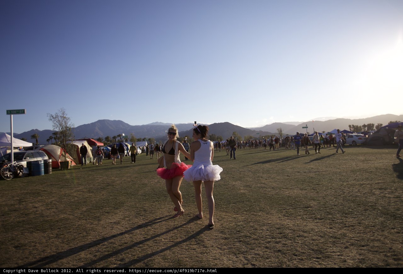 Tutus in the Grass