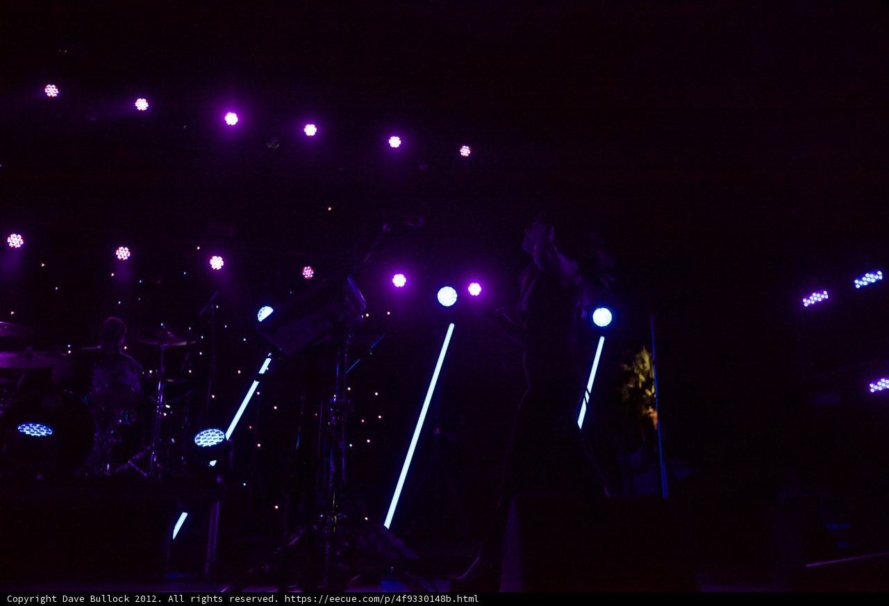 Purple Haze Performance