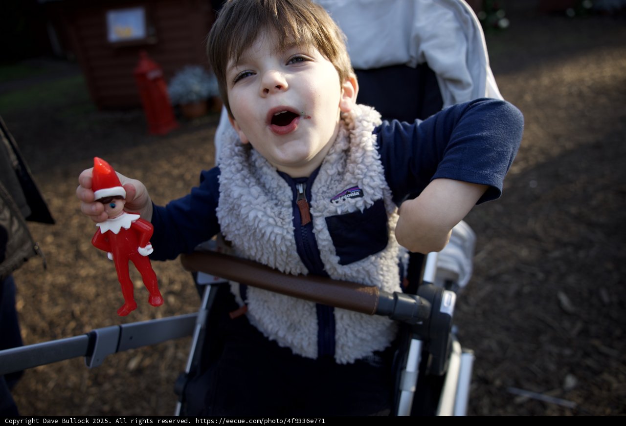 Joyful Moments at Thistlewyck