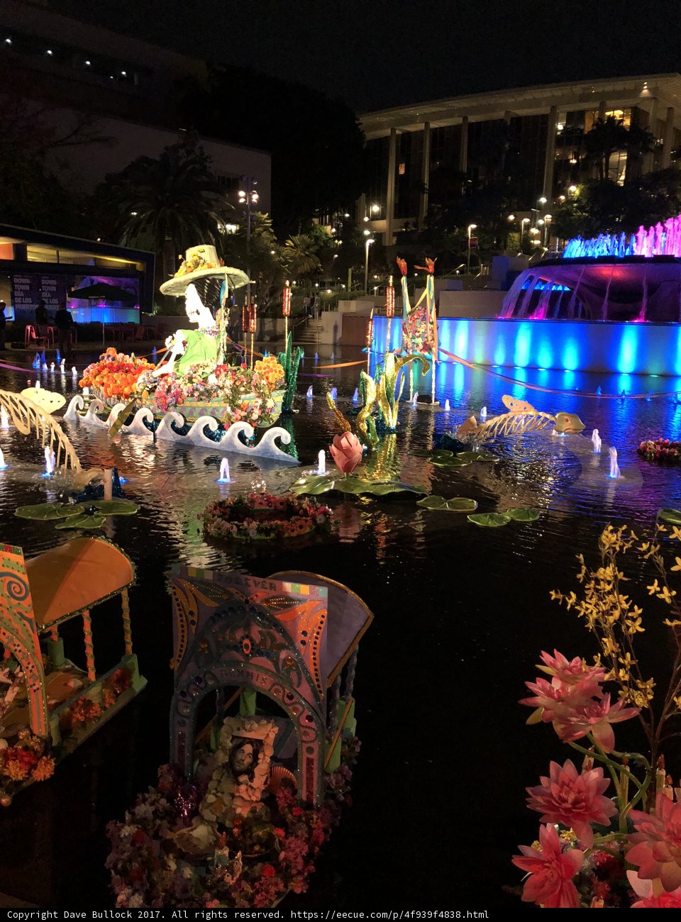 Spectacular Nighttime Float Display in Pond