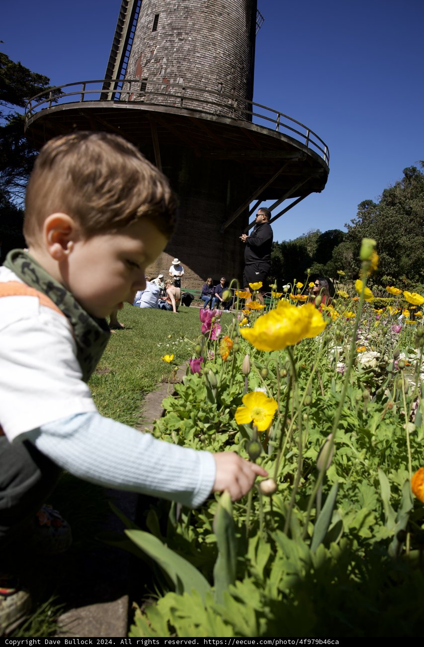 A Young Gardener's Joy in Golden Gate Park, 2024