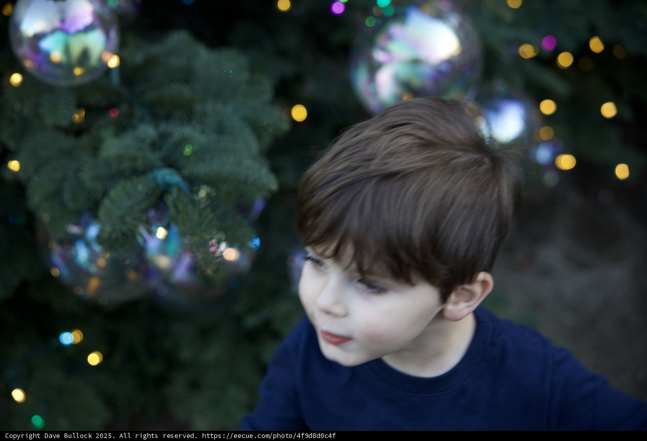 Enchanted Holiday Wonder