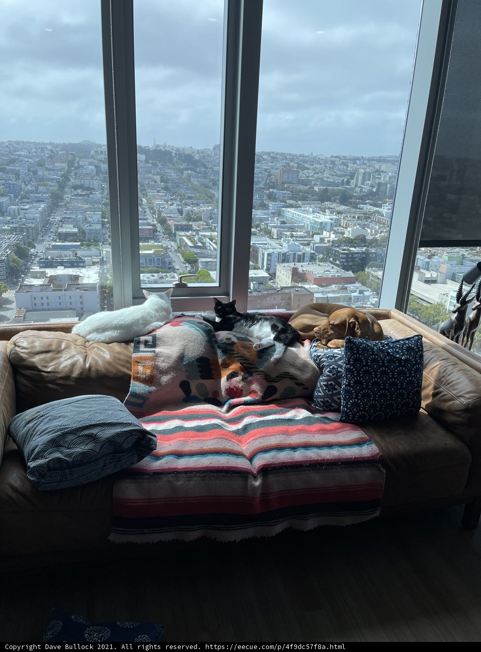 Cozy Couch in a City Apartment