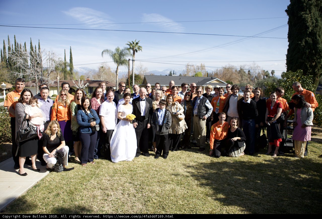 Wedding Party in the Garden
