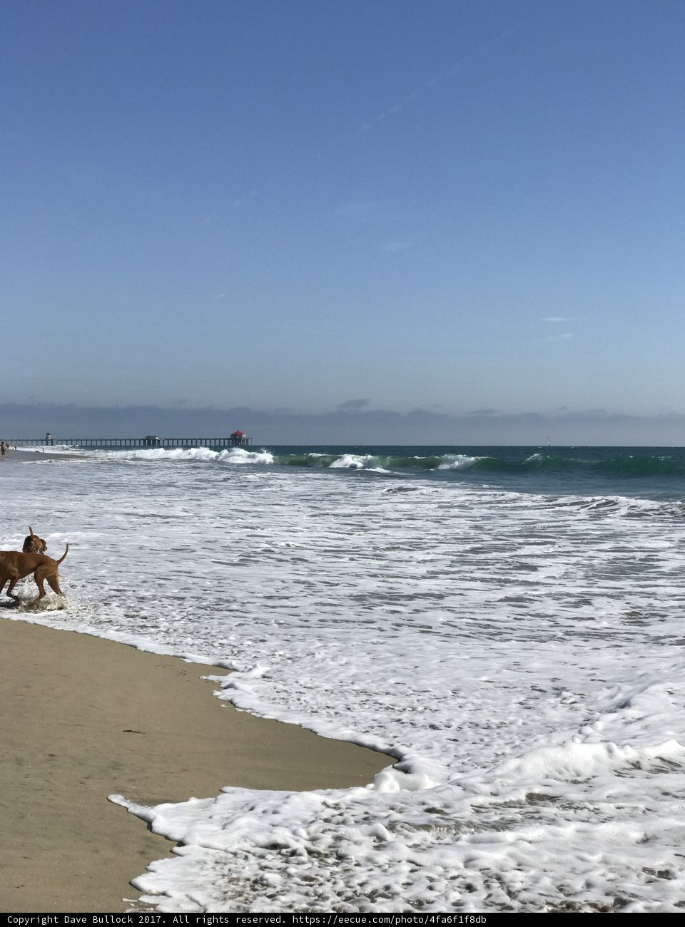 Beach Walk with My Best Friend