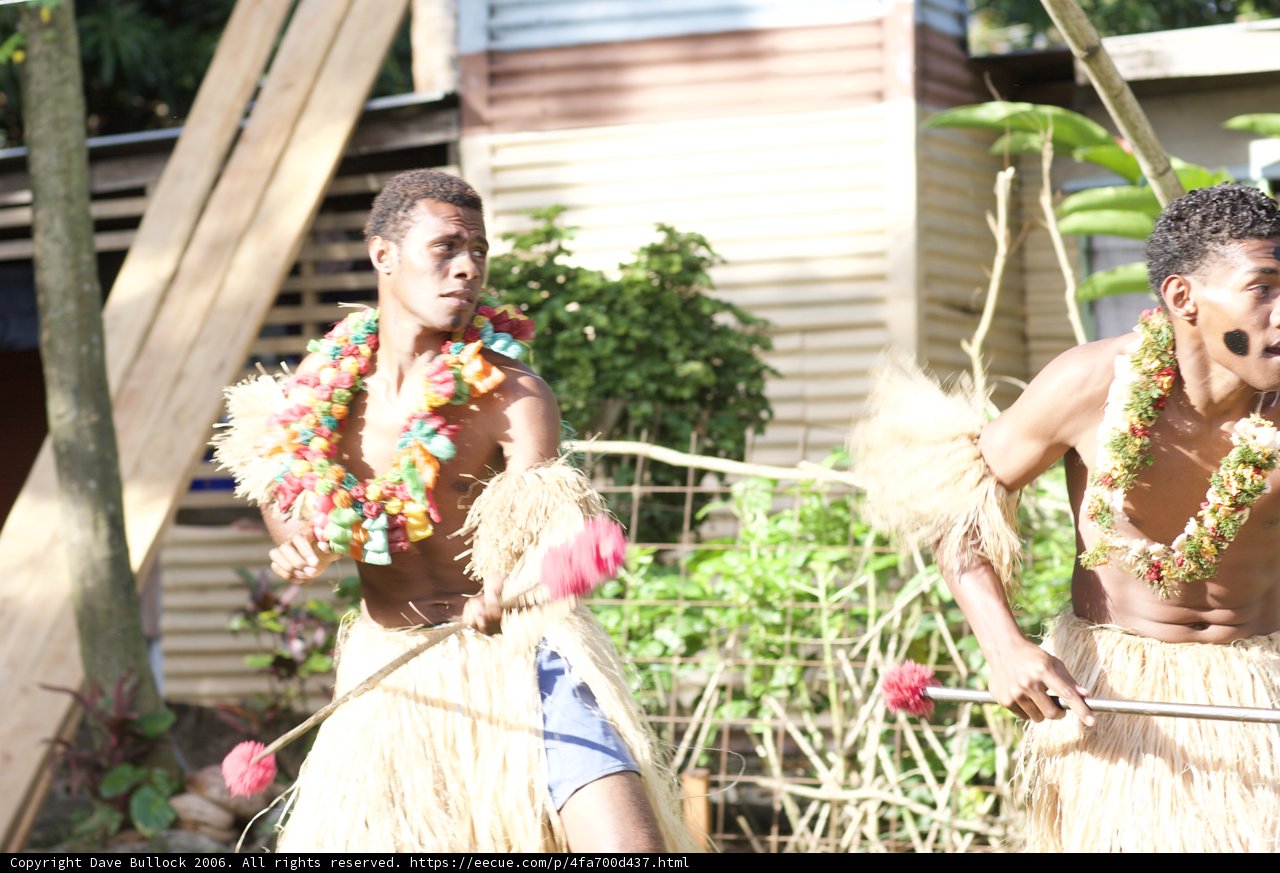 Hula Dance Performance