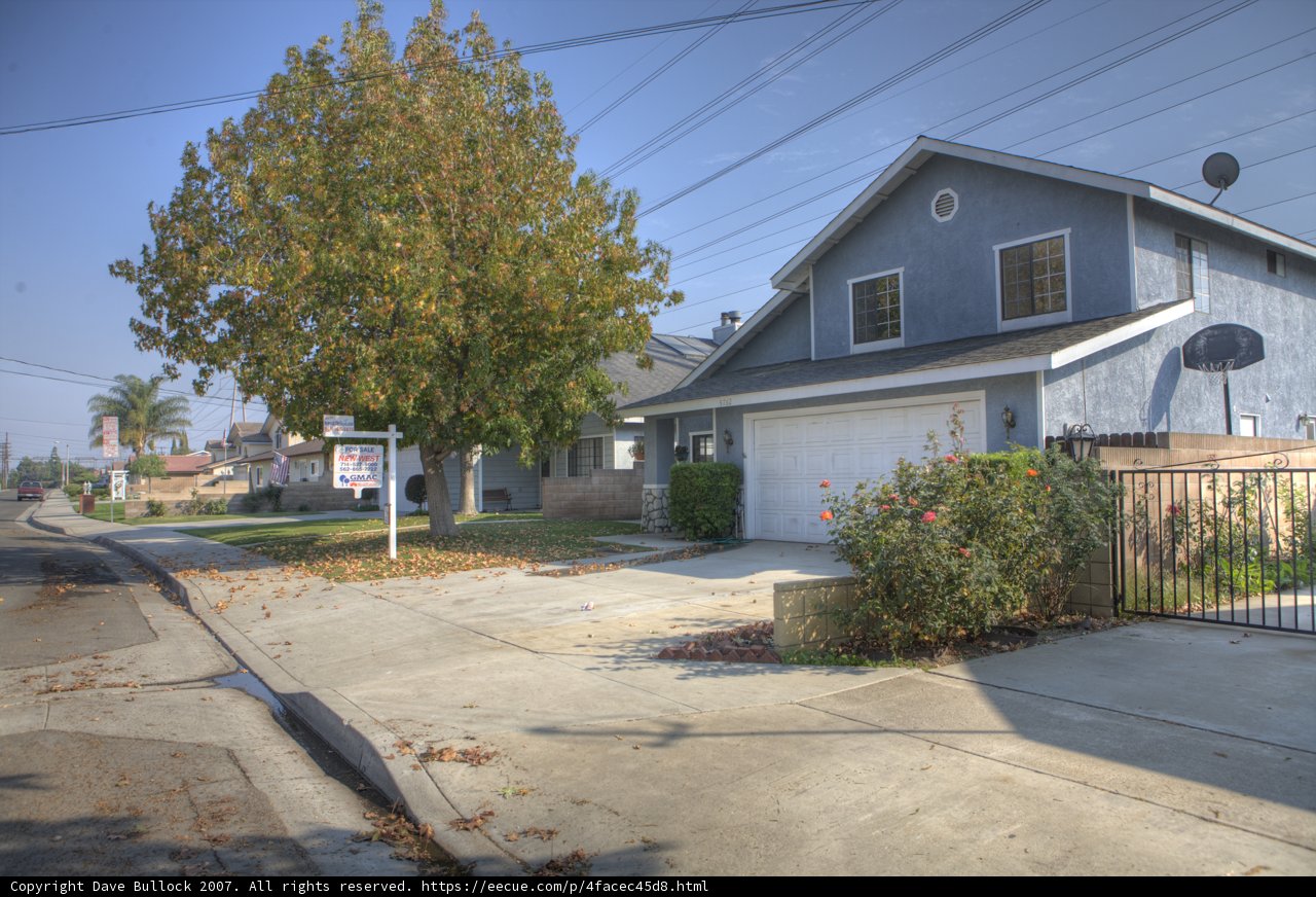 Suburban Serenity