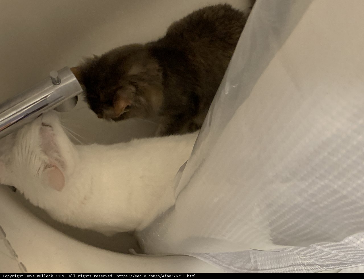 Bathroom Buddies