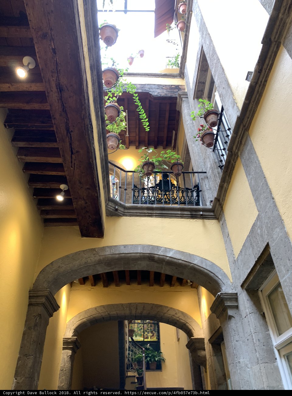 Greenery in the Archway